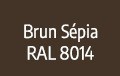 brun-sepia-RAL-8014