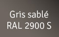 gris-sable-RAL-2900-S