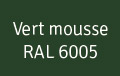 vert-mousse-RAL-6005